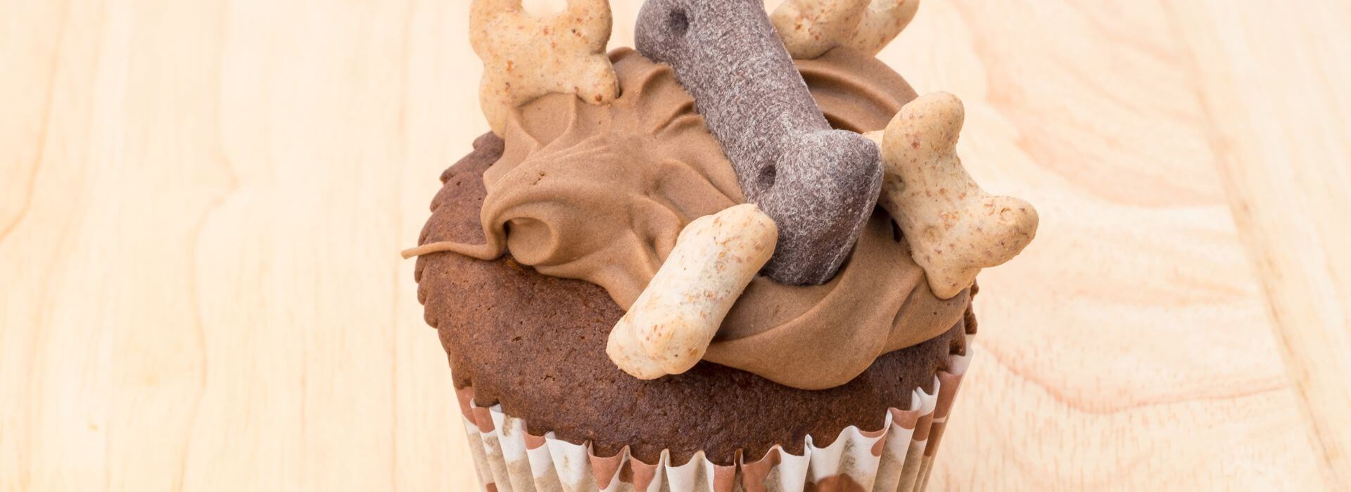Image showcasing Why can't dogs eat chocolate? – My Pet Sensitivity