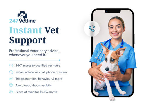 247VetLine: Online Video Vet Advice