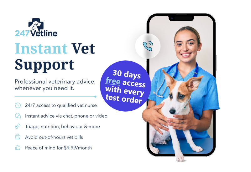 Advanced Dog Sensitivity Test