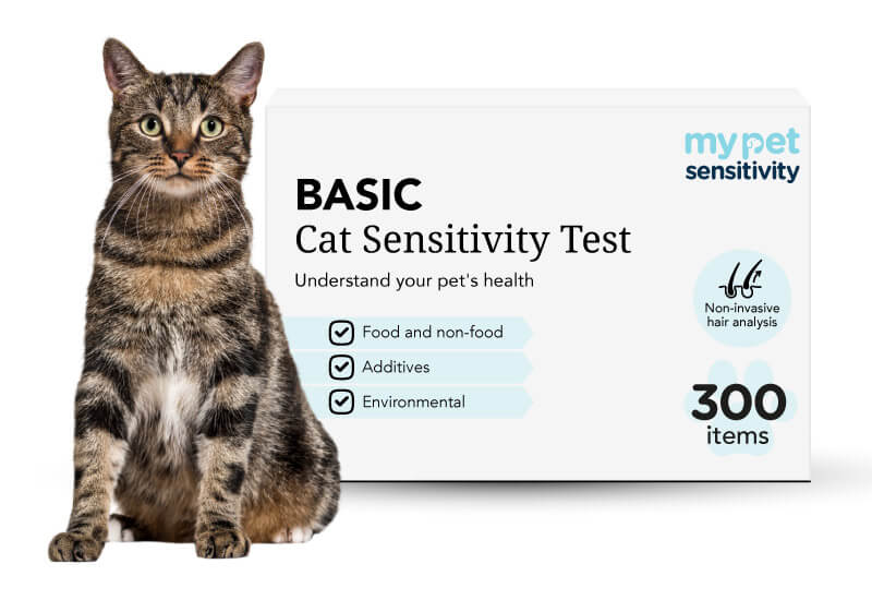 Cat Allergy Test Alternative Buy Now My Pet Sensitivity USA