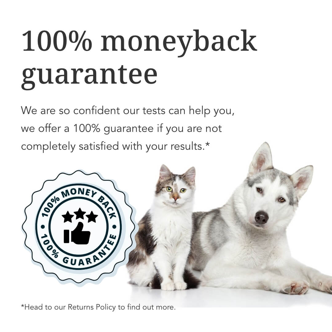 Basic Cat Intolerance Test
