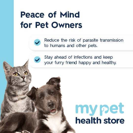 Parasite & Worm Test For Dogs & Cats
