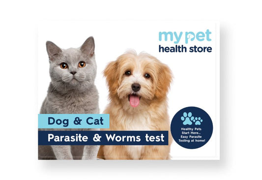 Parasite & Worm Test For Dogs & Cats