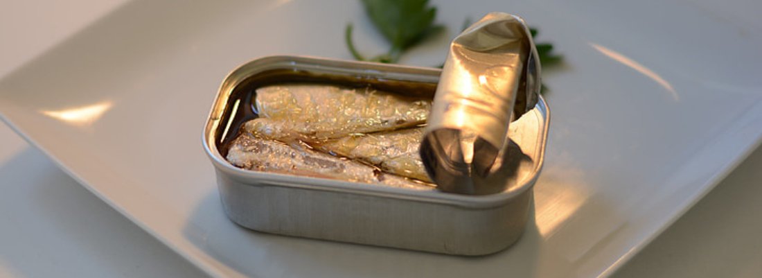 Are Canned Sardines Good for Dogs? Find Out Here