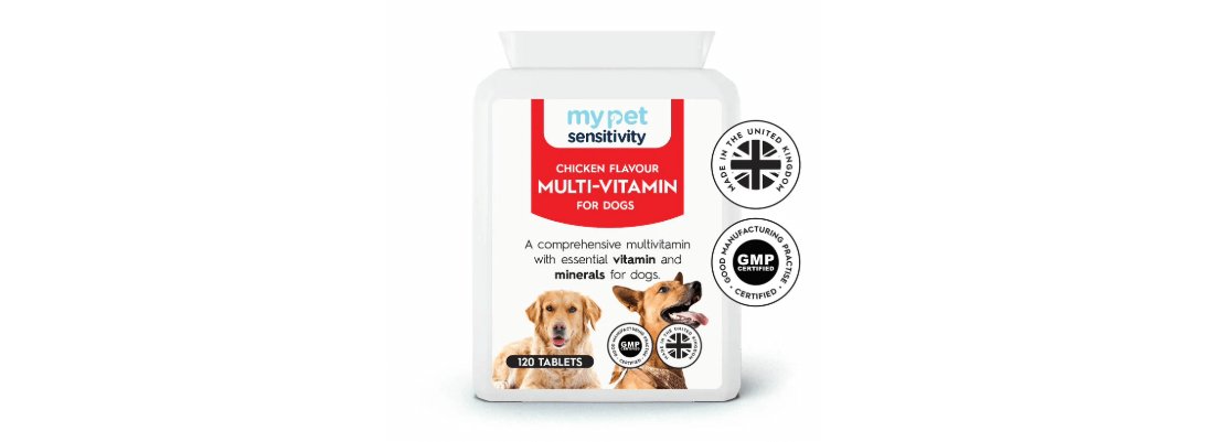 Do Dogs Need Multivitamins?