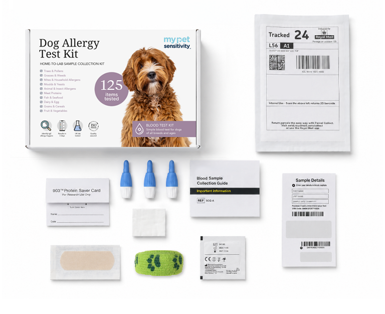 Dog Allergy Testing