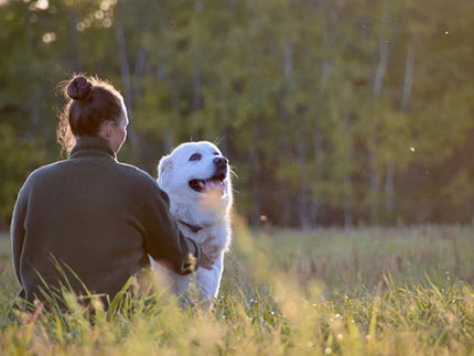 One Small Blood Spot Tests 125 Allergens at Home