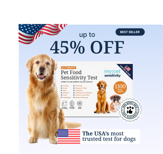 Dog Allergy Test