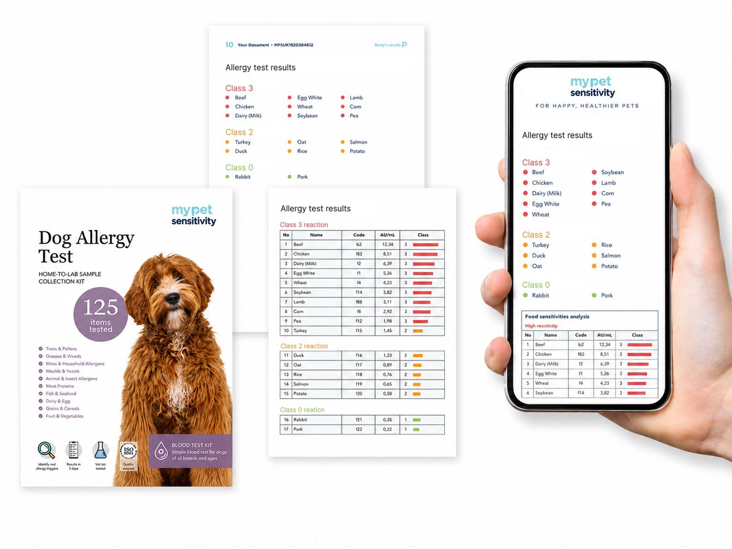 Dog Allergy Testing