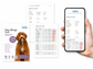 Dog Allergy Testing